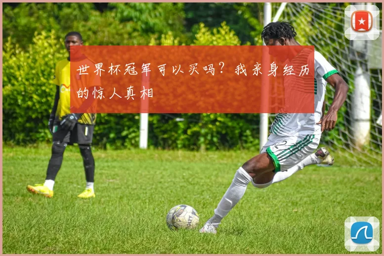 世界杯冠军可以买吗？我亲身经历的惊人真相