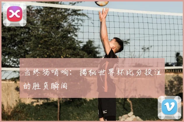 当终场哨响:揭秘世界杯比分投注的胜负瞬间
