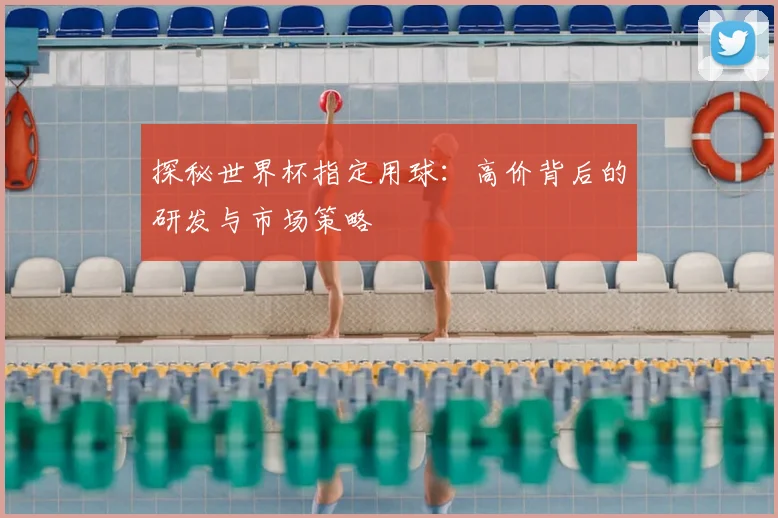 探秘世界杯指定用球:高价背后的研发与市场策略